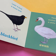 Load image into Gallery viewer, Look! A Bird!