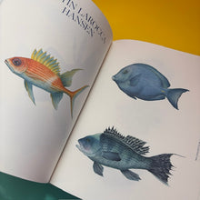 Load image into Gallery viewer, Marine Inspiration: Aquatic Life in Art and Illustration