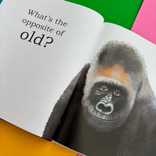 Load image into Gallery viewer, Big Gorilla; a book of opposites