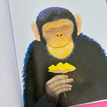 Load image into Gallery viewer, Big Gorilla; a book of opposites