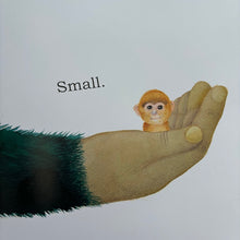 Load image into Gallery viewer, Big Gorilla; a book of opposites