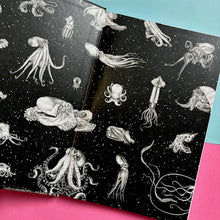 Load image into Gallery viewer, Amazing Octopus : Creature From an Unknown World