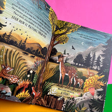 Load image into Gallery viewer, The Secret Forest