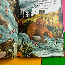 Load image into Gallery viewer, The Secret Forest
