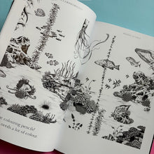 Load image into Gallery viewer, Amazing Octopus : Creature From an Unknown World