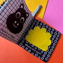 Load image into Gallery viewer, Baby's First Cloth Book: Cuddly Lion