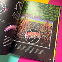 Load image into Gallery viewer, Micro : The Wild Wonders of Microscopic Life