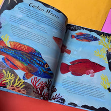 Load image into Gallery viewer, Beneath the Waves : Press out and learn about 20 fabulous fish