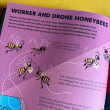 Load image into Gallery viewer, STEMville : The Bee Connection