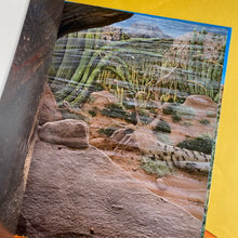 Load image into Gallery viewer, Desert Jungle