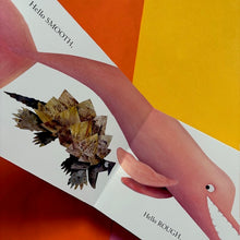 Load image into Gallery viewer, Hello Hello Opposites