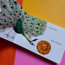 Load image into Gallery viewer, Hello Hello Opposites