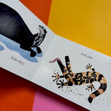 Load image into Gallery viewer, Hello Hello Opposites