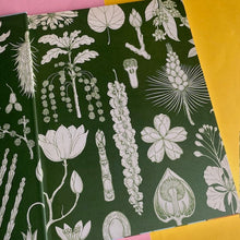 Load image into Gallery viewer, Arboretum