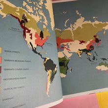 Load image into Gallery viewer, Arboretum