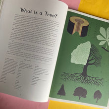 Load image into Gallery viewer, Arboretum