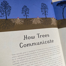 Load image into Gallery viewer, Arboretum