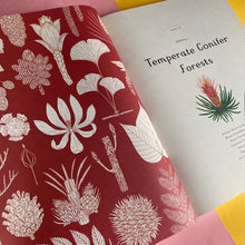 Load image into Gallery viewer, Arboretum