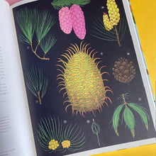 Load image into Gallery viewer, Arboretum