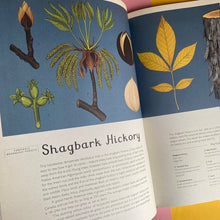 Load image into Gallery viewer, Arboretum