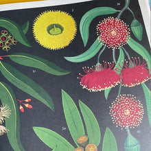 Load image into Gallery viewer, Arboretum