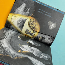 Load image into Gallery viewer, Dive, Dive into The Night Sea