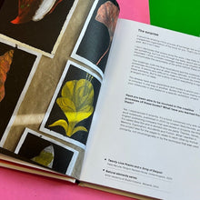 Load image into Gallery viewer, Art of Jesus Cisneros: Drawing from Memory