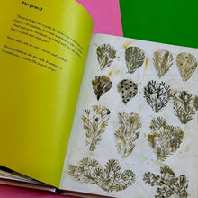 Load image into Gallery viewer, Art of Jesus Cisneros: Drawing from Memory