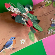 Load image into Gallery viewer, Flora