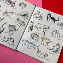 Load image into Gallery viewer, The World of Maxime