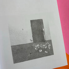 Load image into Gallery viewer, Giant