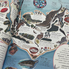 Load image into Gallery viewer, Once Upon An Island: An Atlas of Islands From Around the World