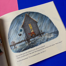 Load image into Gallery viewer, The Fierce Little Woman and the Wicked Pirate