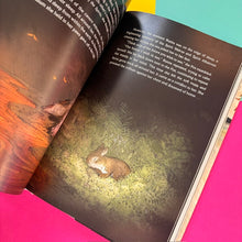 Load image into Gallery viewer, Bunns Rabbit II: The Return of the Spirit Rabbit