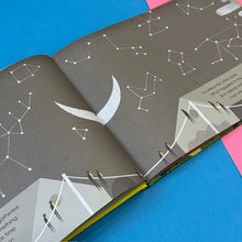 Load image into Gallery viewer, The Swallow Who Stayed