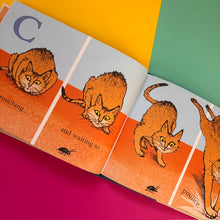 Load image into Gallery viewer, C is For Cat