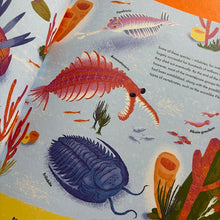 Load image into Gallery viewer, From Cells To Our Selves