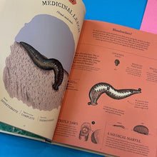 Load image into Gallery viewer, Eatopedia : An encyclopedia of how animals eat, digest and poo