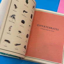 Load image into Gallery viewer, Eatopedia : An encyclopedia of how animals eat, digest and poo