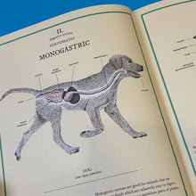 Load image into Gallery viewer, Eatopedia : An encyclopedia of how animals eat, digest and poo