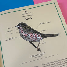 Load image into Gallery viewer, Eatopedia : An encyclopedia of how animals eat, digest and poo