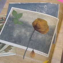 Load image into Gallery viewer, Comet & a Star: A Story of Cosmic Friendship