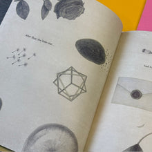 Load image into Gallery viewer, Comet & a Star: A Story of Cosmic Friendship