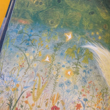 Load image into Gallery viewer, Comet & a Star: A Story of Cosmic Friendship