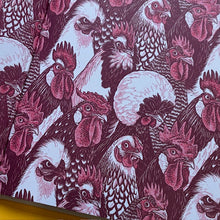 Load image into Gallery viewer, Cluck! The Eggstraordinary Story of Chickens