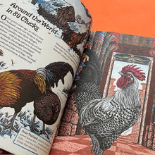 Load image into Gallery viewer, Cluck! The Eggstraordinary Story of Chickens