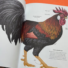 Load image into Gallery viewer, Cluck! The Eggstraordinary Story of Chickens