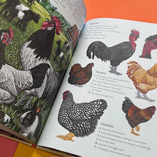 Load image into Gallery viewer, Cluck! The Eggstraordinary Story of Chickens