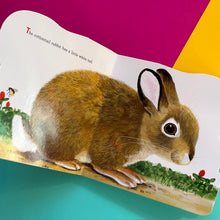 Load image into Gallery viewer, Richard Scarry's Bunnies