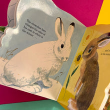 Load image into Gallery viewer, Richard Scarry's Bunnies